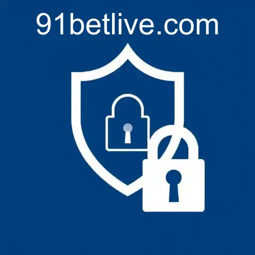 Privacy Policy Insights for Users of 91bet